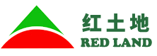 日照網(wǎng)絡(luò)公司
